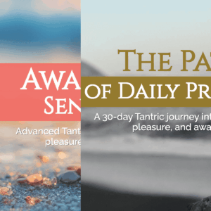 Advanced Embodiment & Sensation | Ebook Bundle