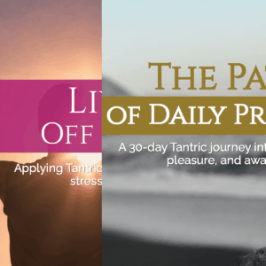 The Daily Presence Journey | Ebook Bundle