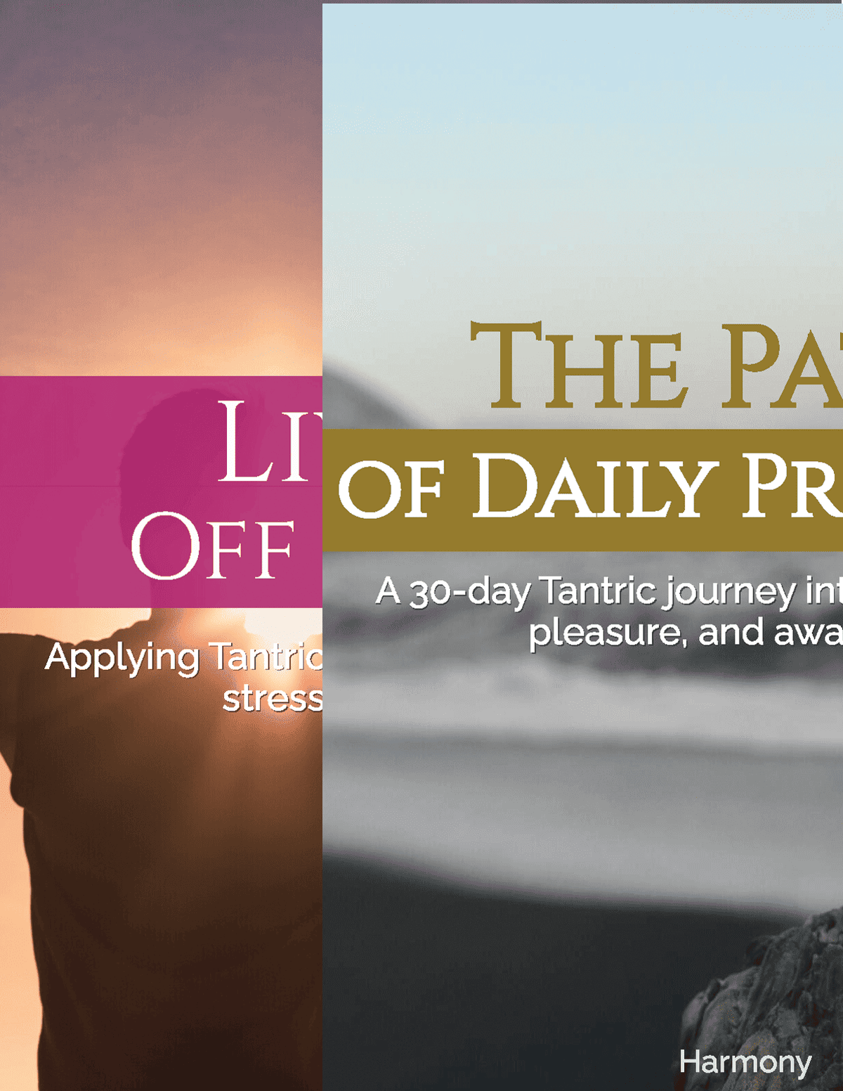 The Daily Presence Journey | Ebook Bundle