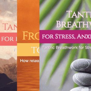 Emotional Strength & Nervous System Mastery | Ebook Bundle