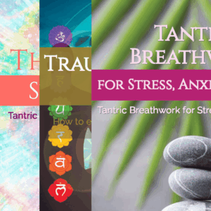 Nervous System First | Ebook Bundle