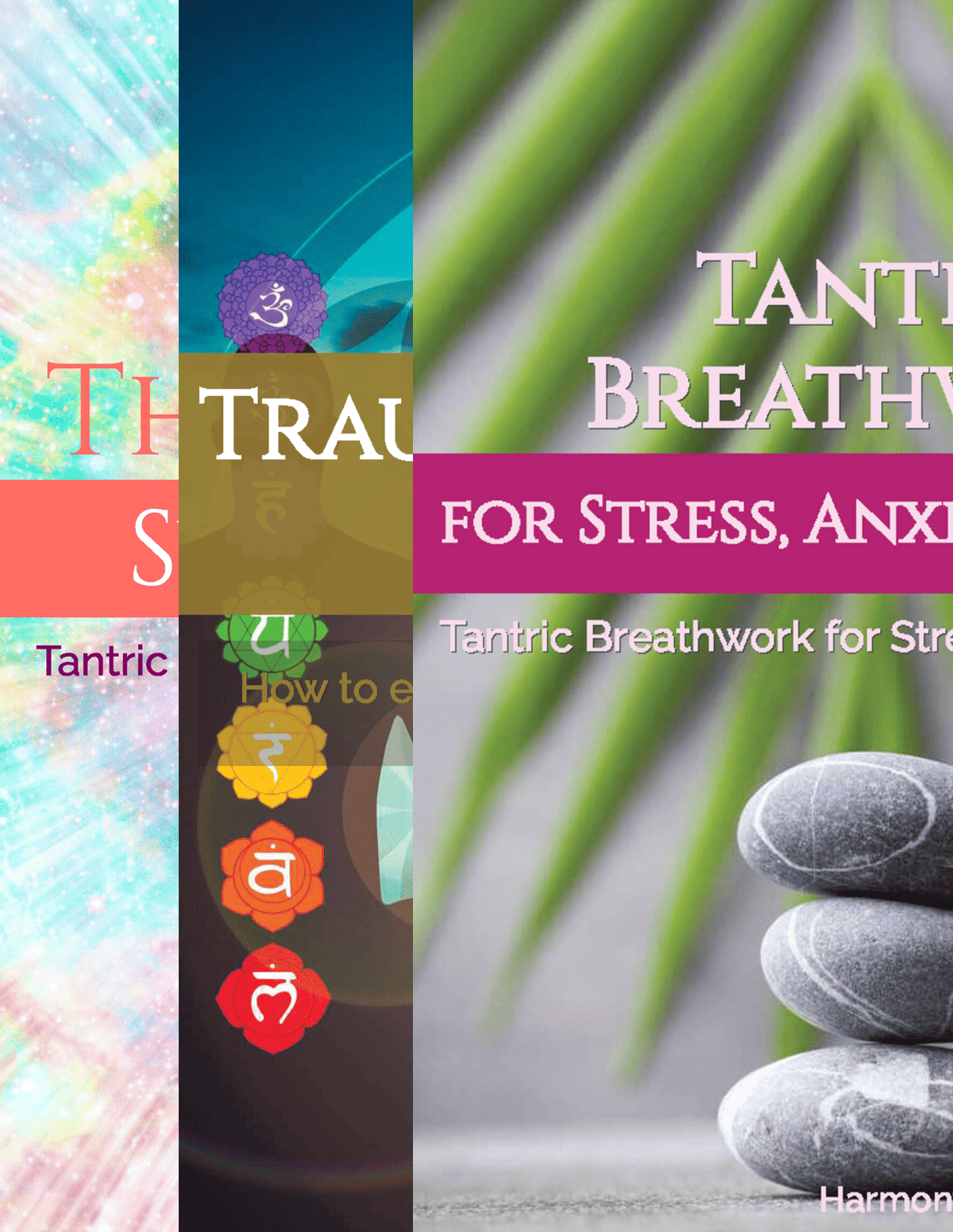 Nervous System First | Ebook Bundle