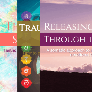 The Somatic Safety Path | Ebook Bundle