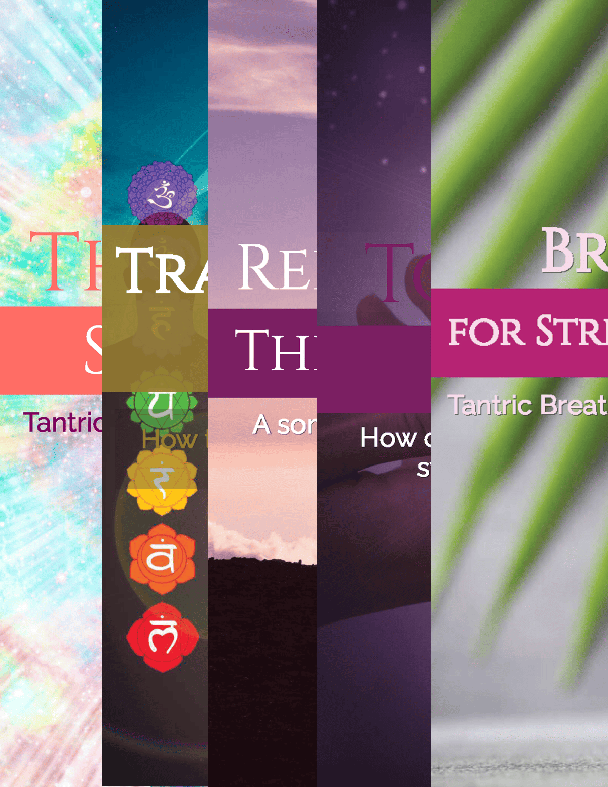 The Trauma-Aware Modern Tantra Collection | Ebook Bundle